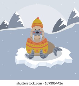 Cute walrus in yellow sweater sitting on iceberg. vector illustration. 