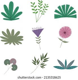 Ilustración de vectores de plantas tibias y cálidas. Recopilación de nueve ilustraciones vectoriales. La combinación de hojas, flores y hierba. plantas en el jardín