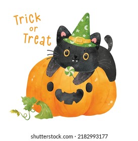 cute watercolor black cat with witch hat on Halloween funny face orange pumpkin, trick or treat, animal character illustration vector