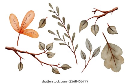 Cute watercolor branches and leaves. Clipart for children's design. Vector illustration
