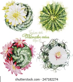 Cute watercolor cactus set. Vector floral design elements isolated on white background