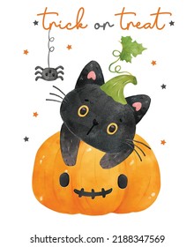 cute watercolor curious black kitten cats in orange pumpkin with spider, Trick or Treat,  watercolor vector isolated on white background