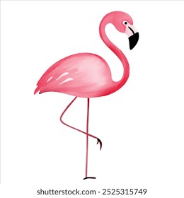 Cute watercolor flamingo. Illustration of hand drawn tropical bird. Wild jungle safari birds.