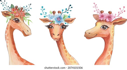 Cute watercolor giraffes with flowers on their heads. Delicate animal illustration.
