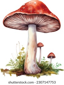 cute watercolor hand drawn mushrooms, colorful aquarelle vector paintings forest poisonous mushroom fly agaric in the grass. vector watercolor illustration.