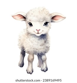 Cute watercolor lamb sheep farm animal isolated on white background. Vecor illustration