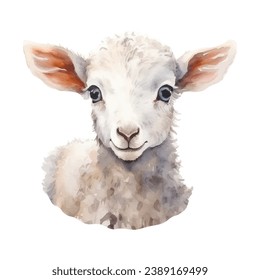 Cute watercolor lamb sheep farm animal isolated on white background. Vecor illustration