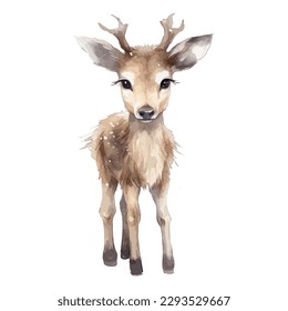 Cute Watercolor Reindeer In Natural State Standing Elegantly