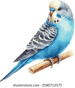 Cute watercolor vector illustration of a blue budgie