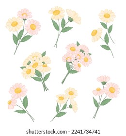 cute watercolour pink and white cream daisy flowers with green leaf collection hand draw illustration vector