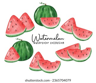 Cute Watermelon collection featuring vibrant, watercolor hand painted fruit illustrations. Perfect for summer designs and refreshing concepts.