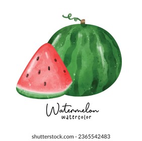 Cute Watermelon featuring vibrant watercolor hand painted fruit illustrations. Perfect for summer designs and refreshing concepts.