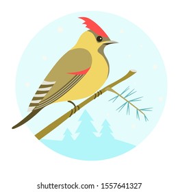 Cute waxwing in cartoon style in a round frame on a background of a winter forest.