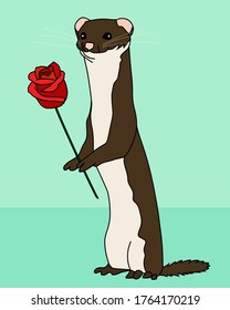 cute weasel with a rose