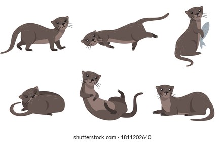 Cute weasel set. Cartoon animal in different poses and actions, otter holding fish, sleeping, walking, swimming. For wildlife, fur, nature concept