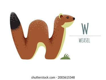 Cute weasel in the shape of a letter - W.
children's alphabet. poster, postcard. 