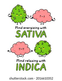 Cute weed cannabis bud meditate and show muscle with brain. Vector cartoon character flat line illustration.  Medical weed and brain, marijuana indica,sativa strains concept