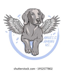 Cute weimaraner dog with angel wings. Vector illustration in hand-drawn style. Angels among us illustration. Stylish image for printing on any surface	