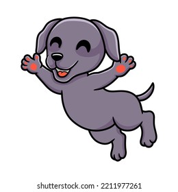 Cute weimaraner dog cartoon posing