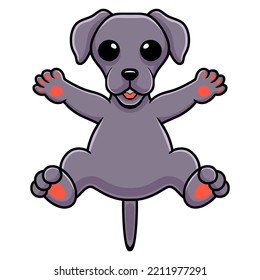 Cute weimaraner dog cartoon posing