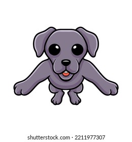 Cute weimaraner dog cartoon posing