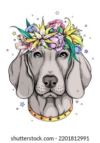 Perro weimaraner lindo en flor. Ilustración vectorial en estilo dibujado a mano. Imagen para imprimir en cualquier superficie