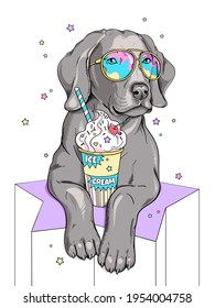 Perro de weimaraner con helado. Composición de verano brillante para imprimir en cualquier superficie