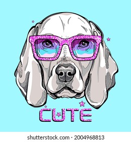 Retrato de perro de weimaraner. Weimaraner con brillantes gafas de sol. Ilustración vectorial. Imagen elegante para imprimir en cualquier superficie	