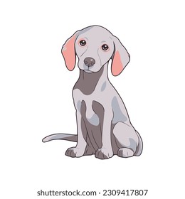 cute weimaraner vector sticker white background