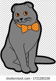 cute and weird cat with the bowtie