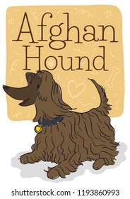 Cute well trained Afghan hound lying down waiting for its master with some funny doodles in a label.