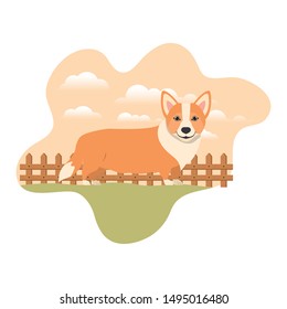 cute welsh corgi dog with background landscape