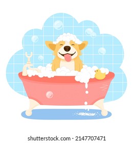 Cute welsh corgi dog character, takes a bubble bath. Dog washing service the grooming salon. Pet grooming concept. Cartoon flat vector illustration.