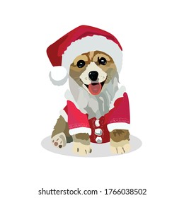 A cute Welsh Corgi dog in a red Santa Claus costume sits and looks straight ahead.A fun design element of a Christmas