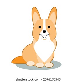 Cute welsh corgi dog sitting, front view. Cartoon character. Funny pet, domestic animal. Isolated on white background
