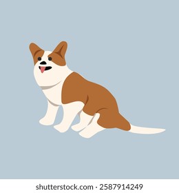 Cute welsh corgi dog. Corgi dog sitting. Corgi dog. Fluffy. Breed. Cute animal. Cute dogs. Little dogs. Welsh corgi dog. Canine. 