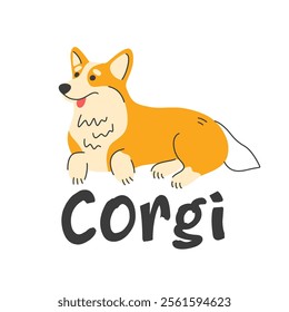 Cute welsh corgi dog smiling pet, isolated on white. Vector illustration cartoon flat style