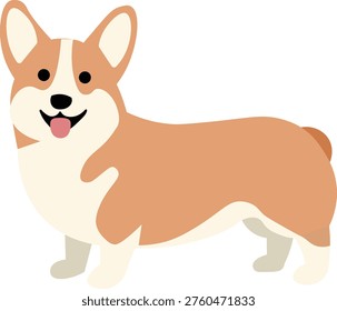Cute Welsh Corgi Dog Standing Short Legs Pet Vector