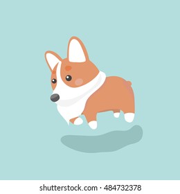 Cute welsh corgi dog vector illustration
