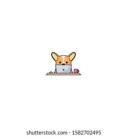 Cute welsh corgi dog working on a laptop, vector illustration