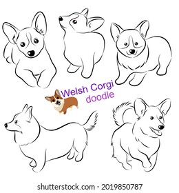 Cute Welsh Corgi doodle collection in different poses in free hand drawing vector illustration style.