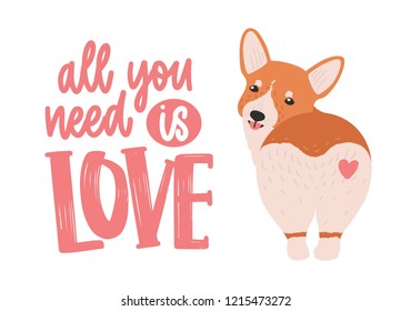 Cute welsh corgi with heart on his back and All You Need Is Love ironic slogan or phrase handwritten with elegant cursive font. Funny dog or puppy. Colorful vector illustration for t-shirt print.