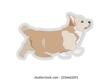 Corgi de agua dulce aislada en fondo blanco. Ilustración vectorial.