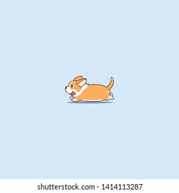 Cute welsh corgi long tail running cartoon icon, vector illustration