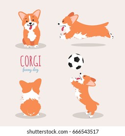 Cute Welsh Corgi Pembroke cartoon set. Vector illustration