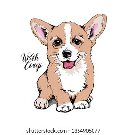 Cute Welsh Corgi Puppy. Card, t-shirt composition, hand drawn style print. Vector illustration.