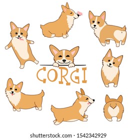 Cute Welsh Corgi puppy set. Funny dogs vector illustration in cartoon style