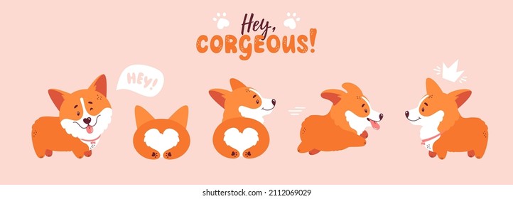 Cute welsh corgi puppy set. Different poses - dog is standing, running, lying. Little and funny corgis isolated characters. Front, back and side doggy view. Vector cartoon illustrations.