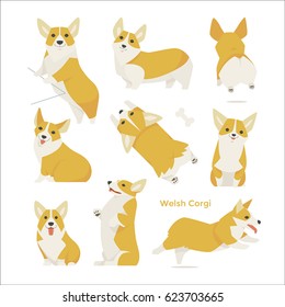 Cute Welsh Corgi Puppy Vector Illustration Flat Design