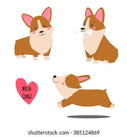 Cute welsh corgi set in different poses. Funny corgi vector illustration. Portrait of a dog for decoration and design. 